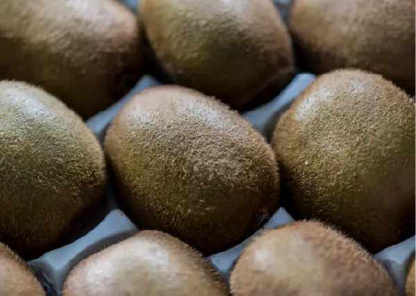 Kiwi